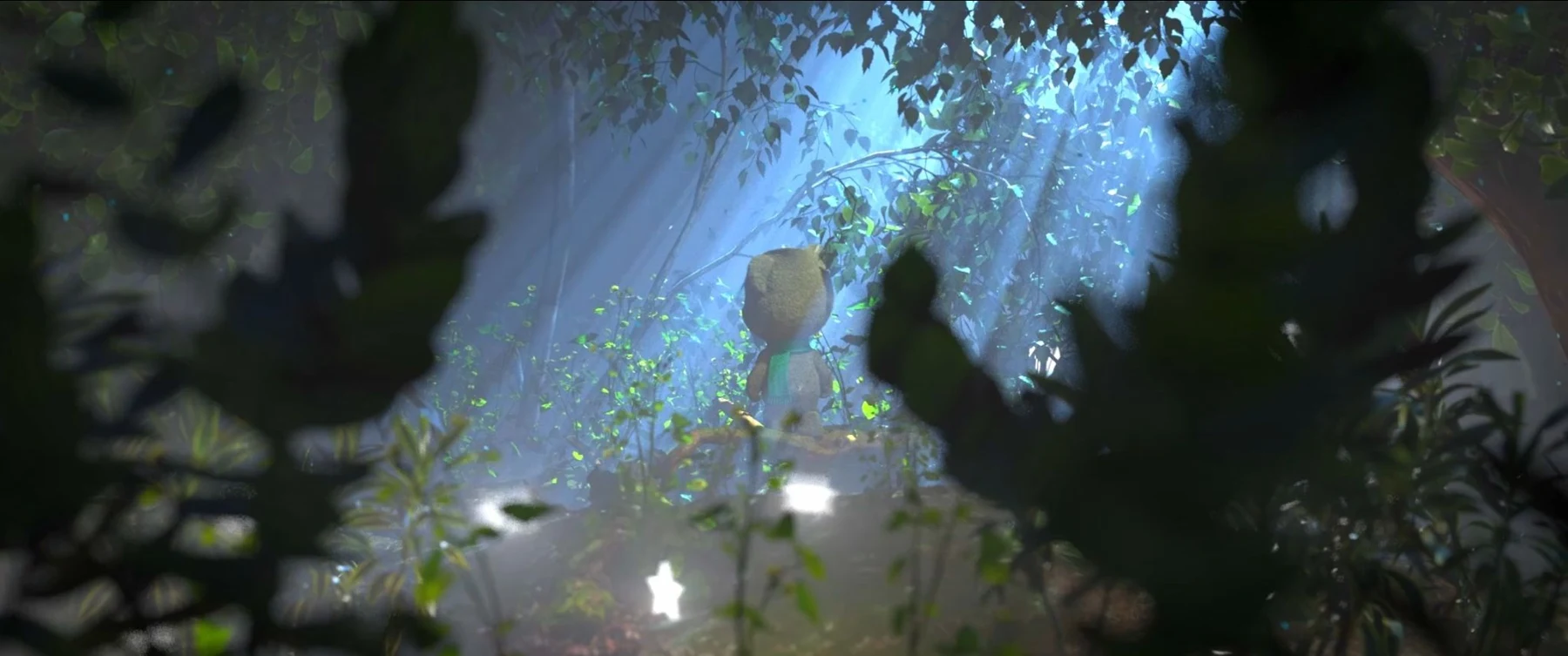 A forest scene with five stars to discover